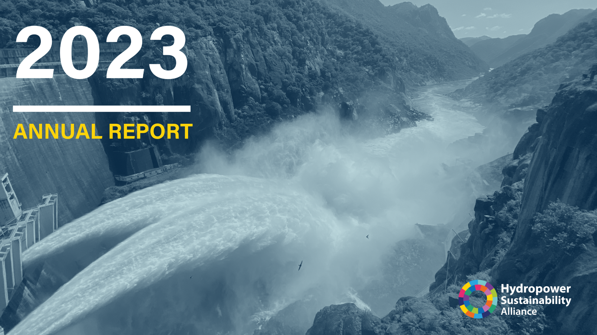 Annual Report_HSA_2023_v2-1-title page.png