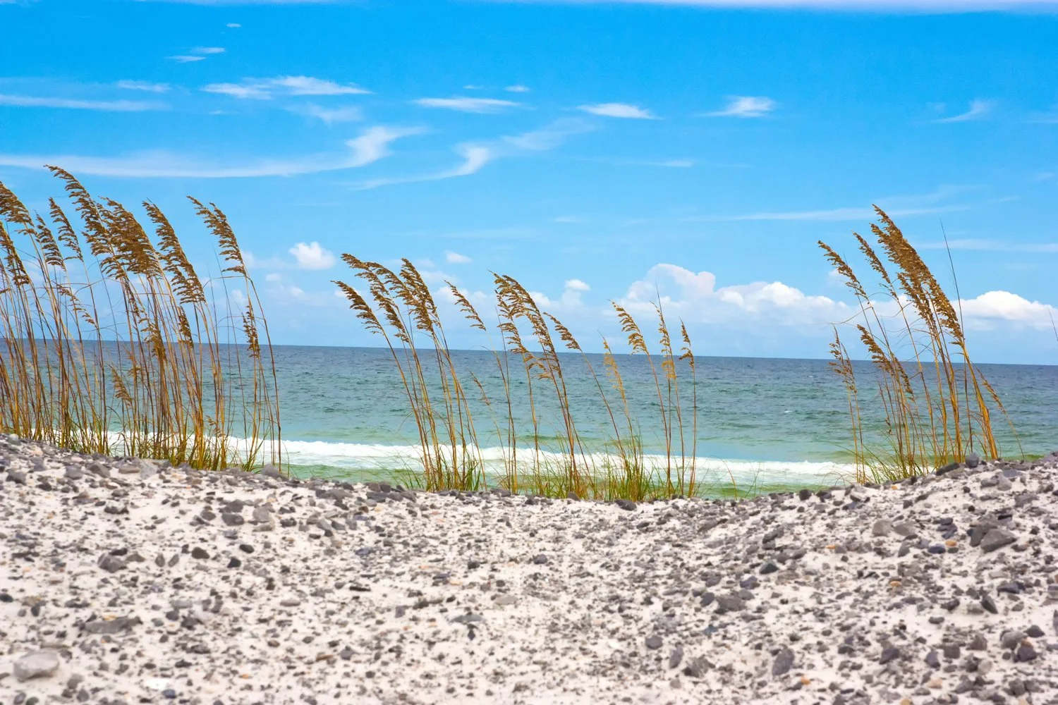 Beach scene with sandy shore, beach grass, ocean waves, and a partly cloudy blue sky.