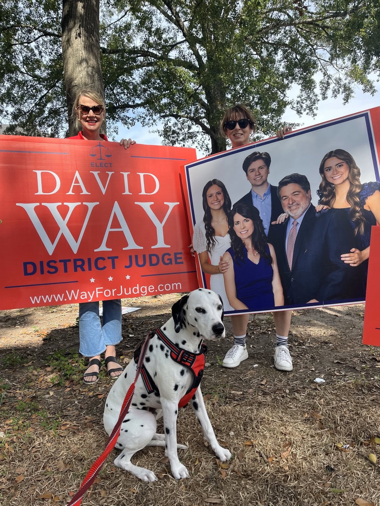 Two women holding campaign signs and a Dalmatian dog sitting on the ground outdoors with leaf-covered ground and a large tree in the background.