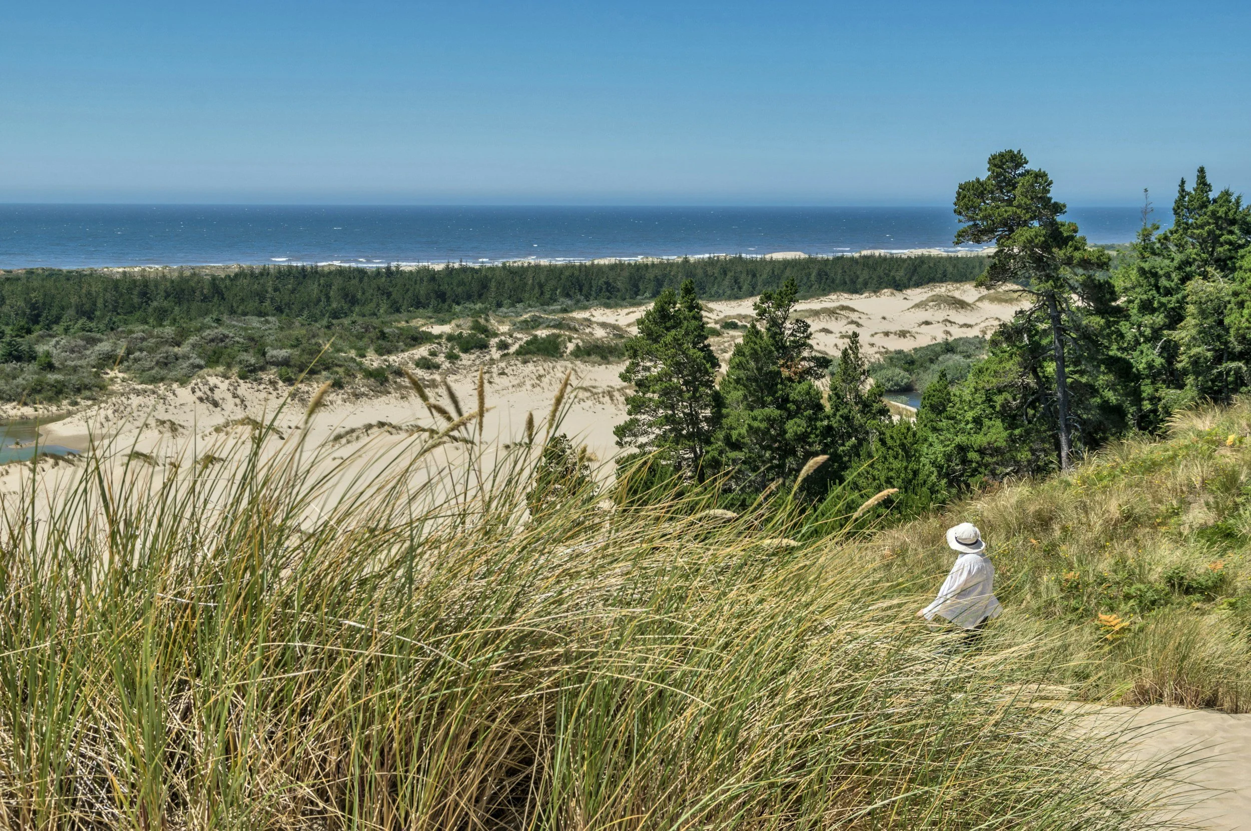 A person wearing a white hat and shirt sitting on a grassy sand dune overlooking a beach, dunes, and the ocean under a blue sky.
