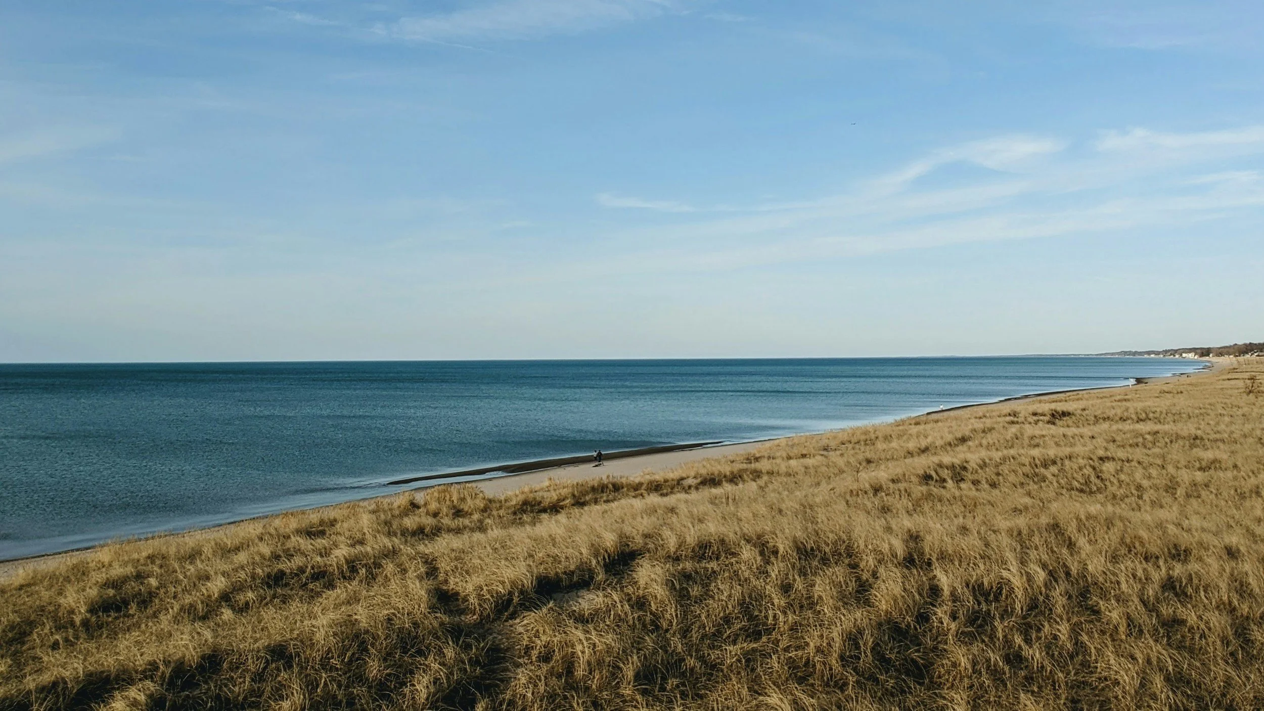 A sandy beach with tall, dry grasses leading to the shoreline. The calm ocean extends to the horizon under a blue sky with some wispy clouds. Near the water, a person is sitting on the sand.