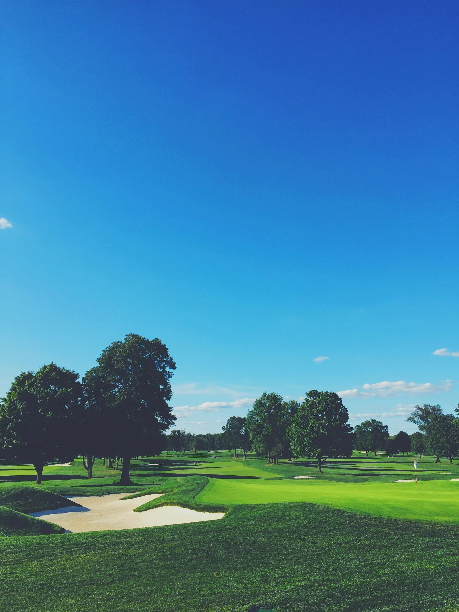 A colorful golf course with a clear blue sky, green grass, sand traps, and trees surrounding the course.