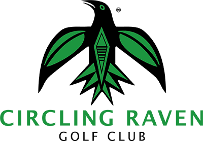 A black and green logo featuring a stylized rocket and leaves with the text 'SpaceX' underneath.