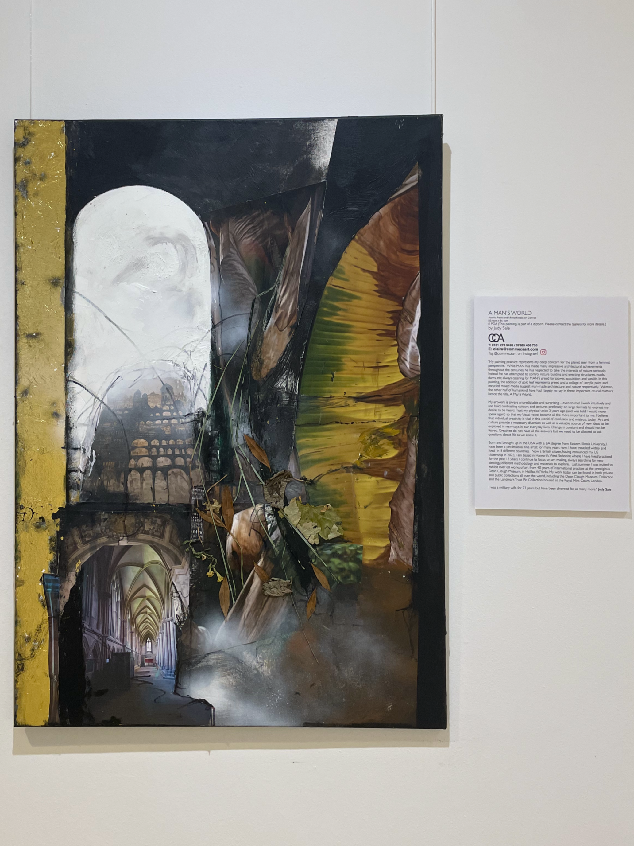 A Man's World - Judy Sale