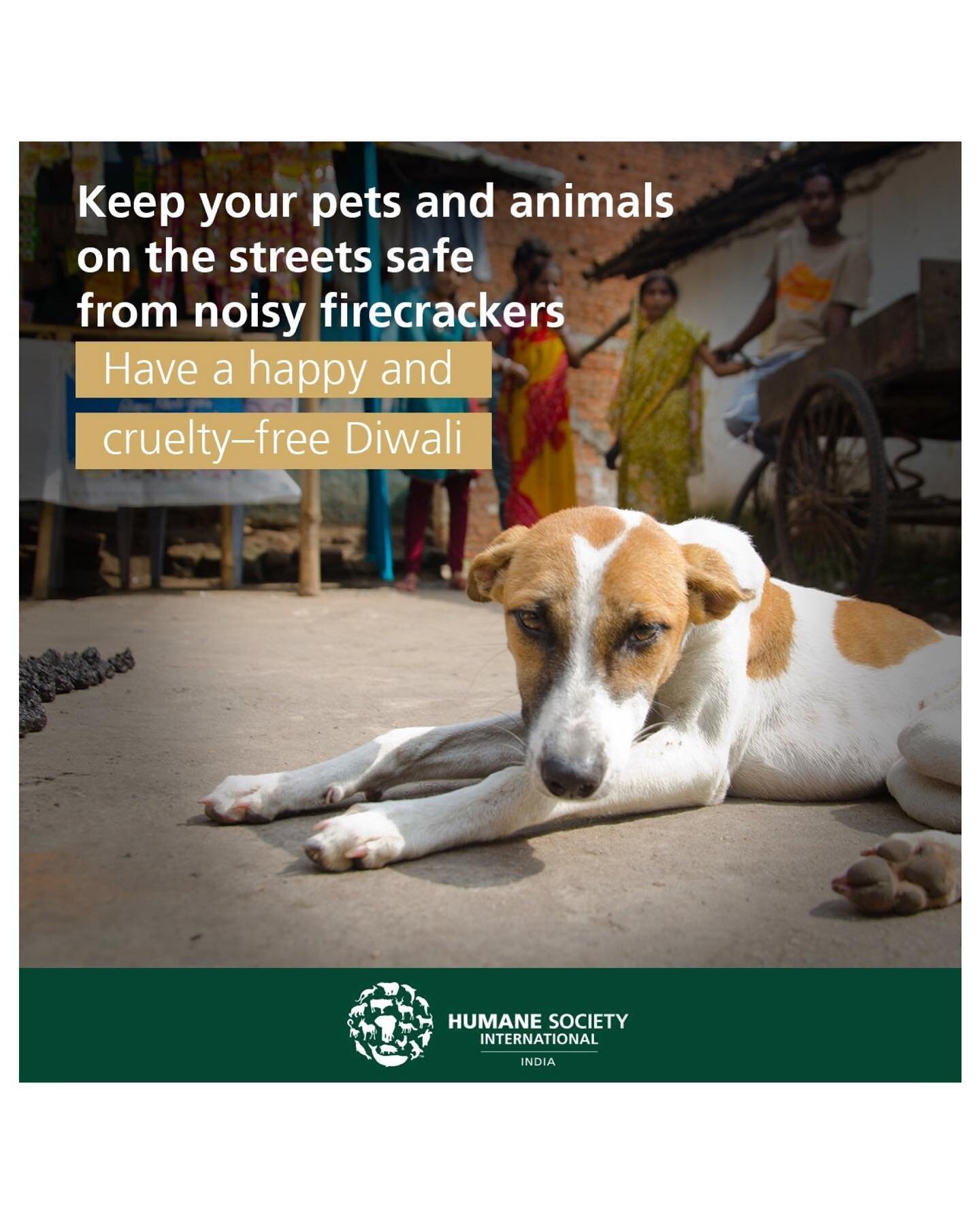 This weekend is Diwali 11th November this is Hindu  celebration  and fireworks are used to mark the celebration . Please be aware that your neighbours might be celebrating and festivities could be happening in your area. 

Keep your animals safe mind