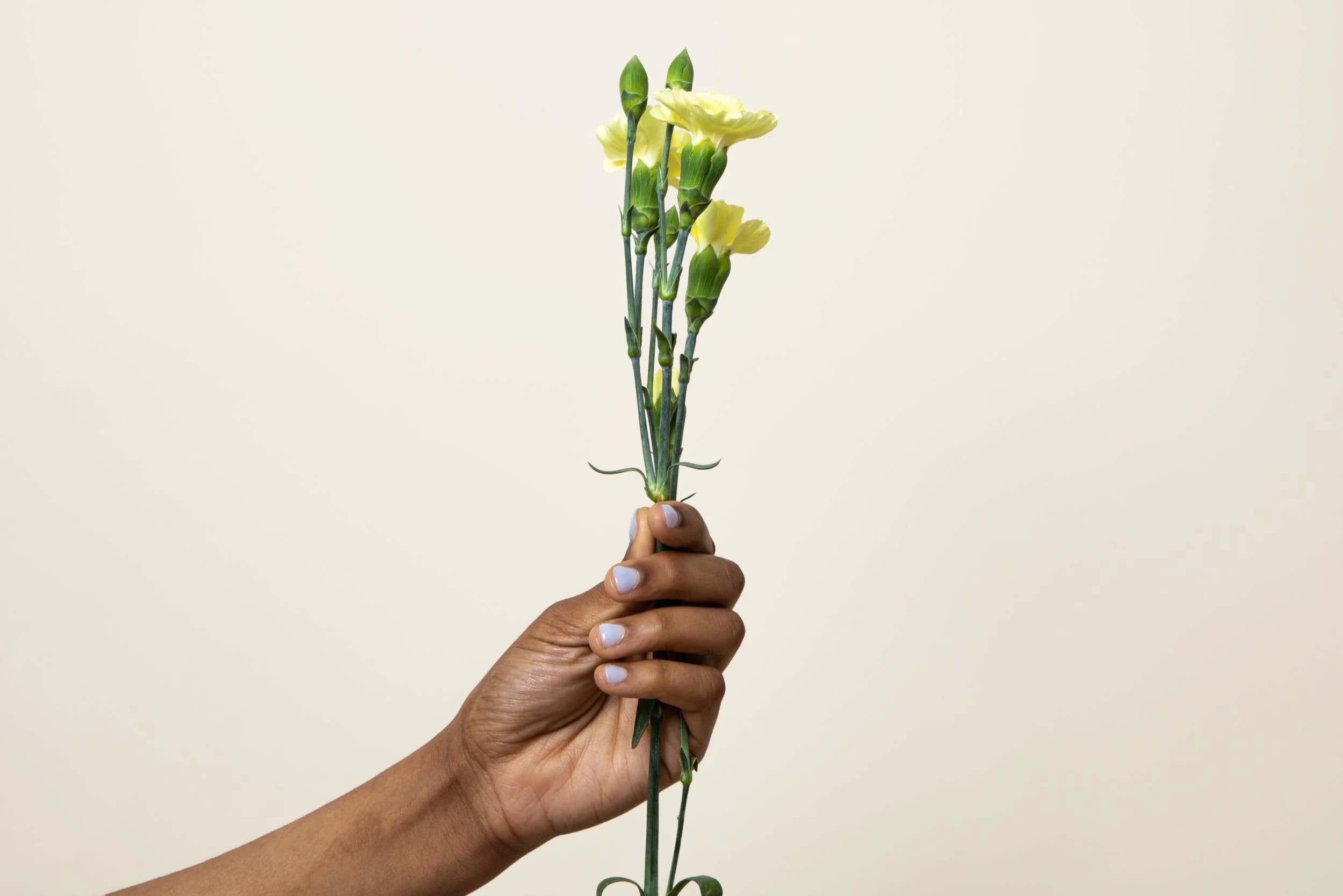 Thu Nguyen_r1_28442.jpg