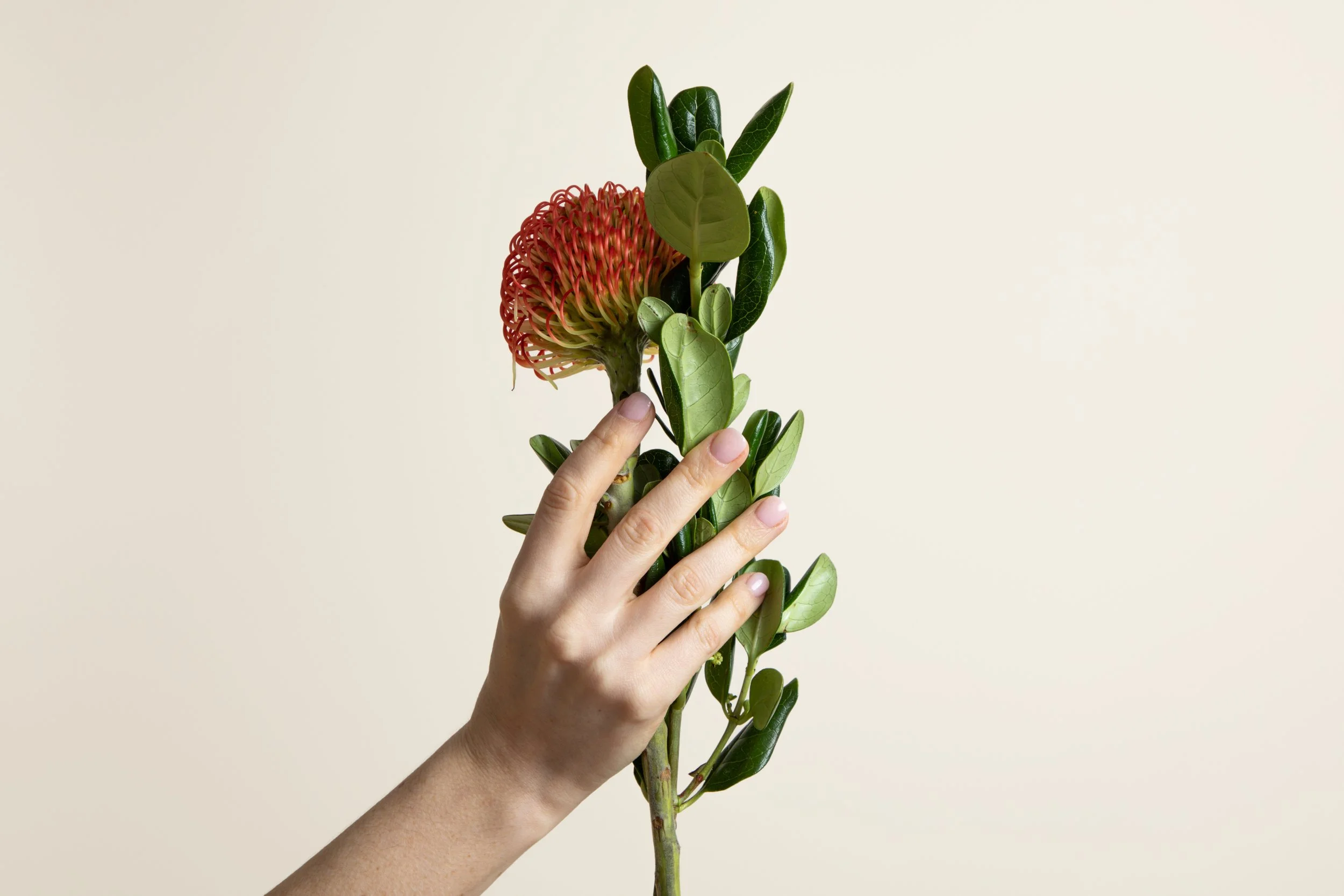 Thu Nguyen_r1_28466.jpg