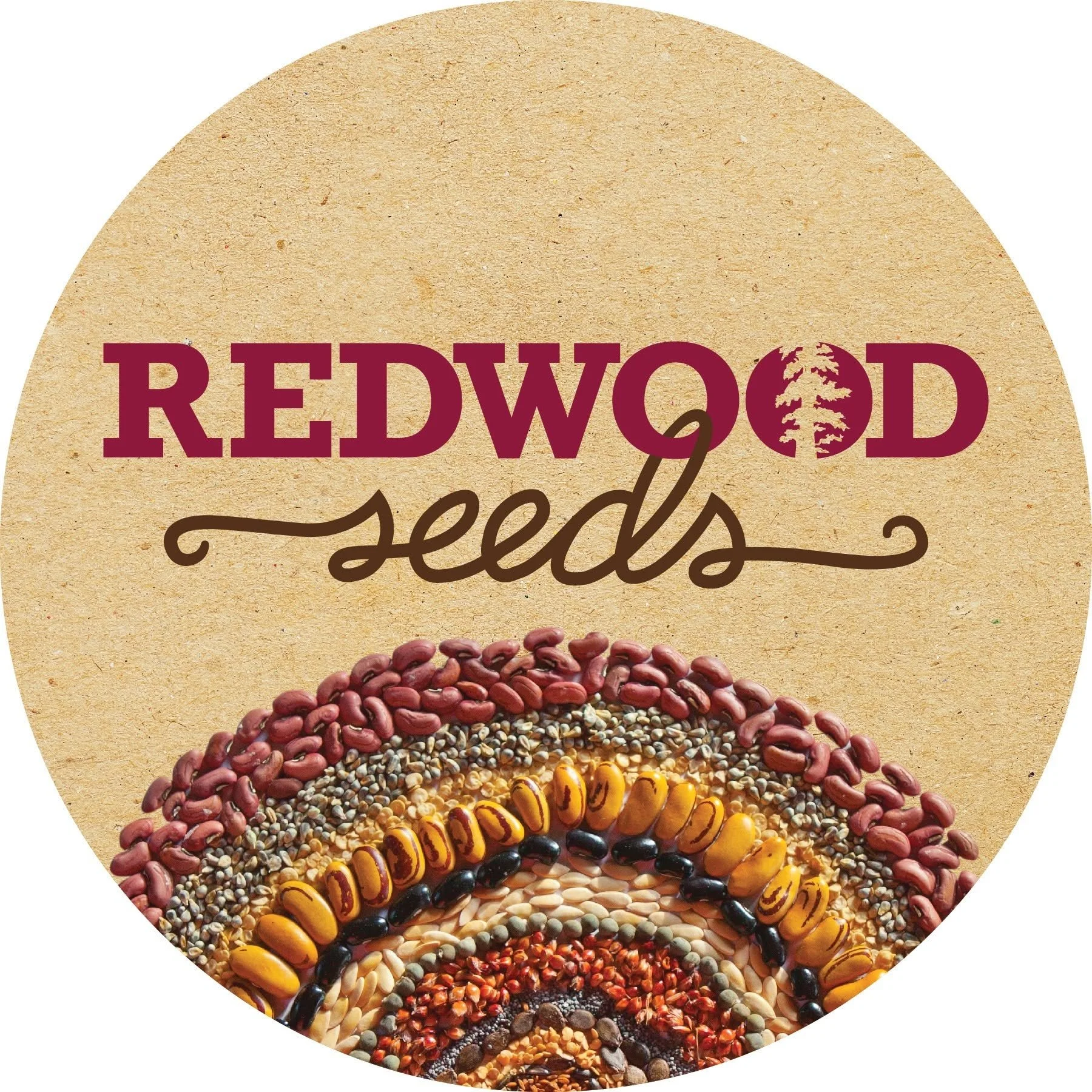 Colorful patterns of seeds, beans, and grains arranged in concentric circles in a rainbow pattern.