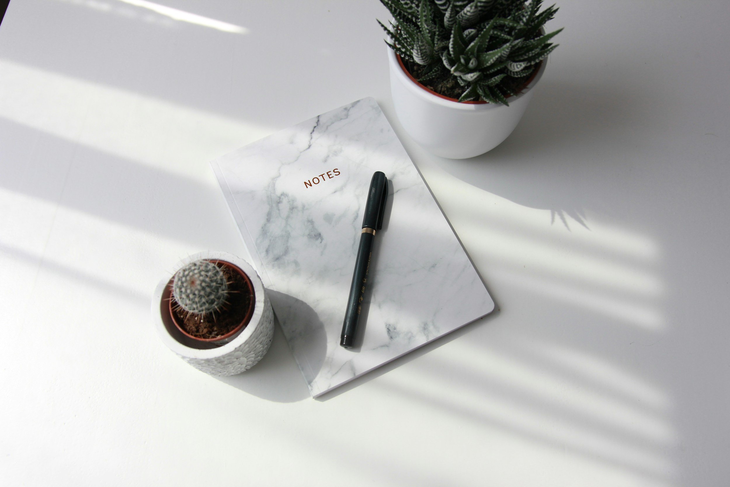 Two small plants, a white notebook and pen resting on a white desk