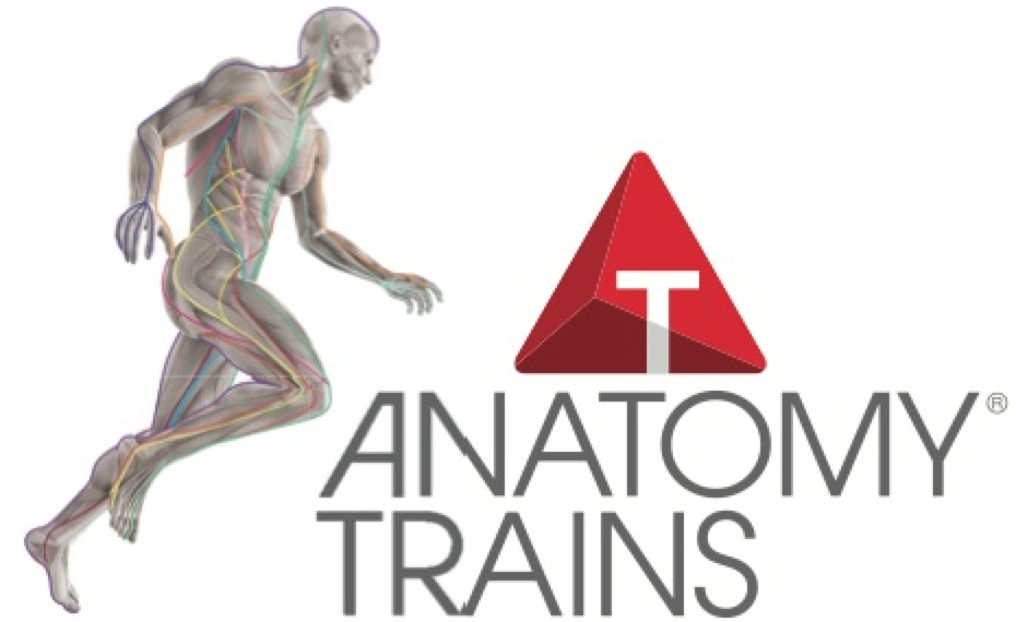 Anatomy Trains logo