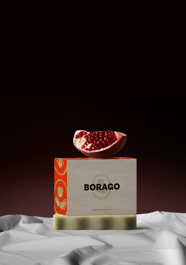 Borago Miza Studio