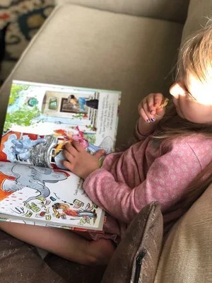 The Louse in the House: How to get your copy!