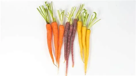 Carrots 🥕