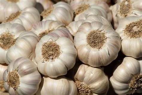 The Love of Garlic