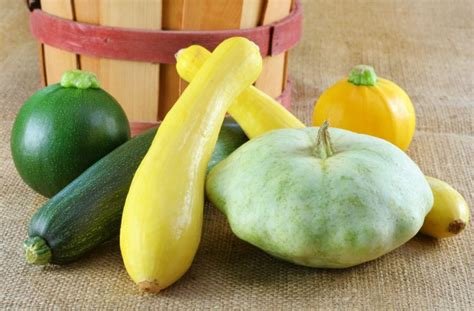 Don’t Skip on Summer Squash