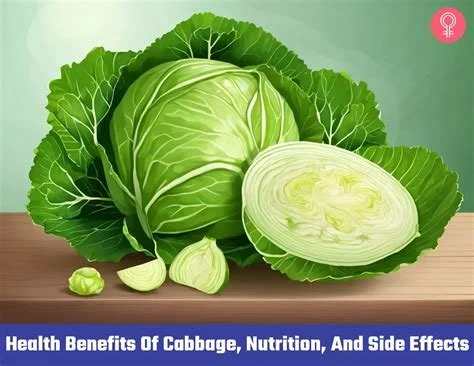 Cabbage