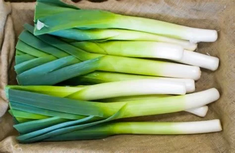 Leek’s