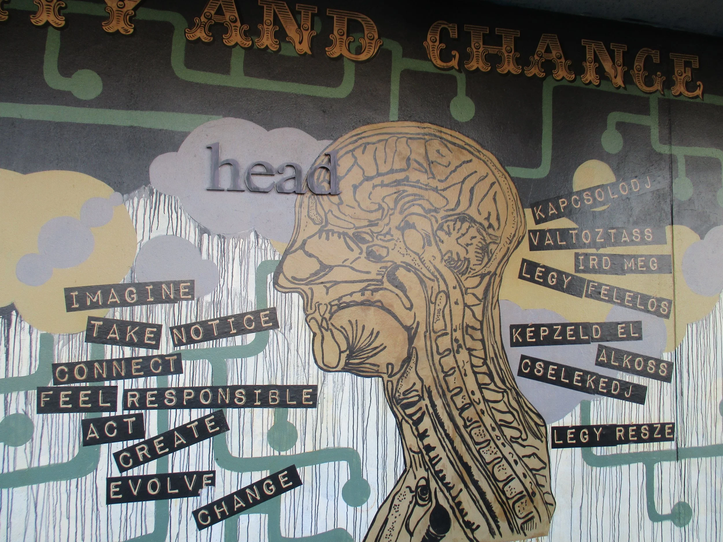 sketch of the anatomy of a person's head and neck with text that reads "imagine take notice connect feel responsible act create evolve change"