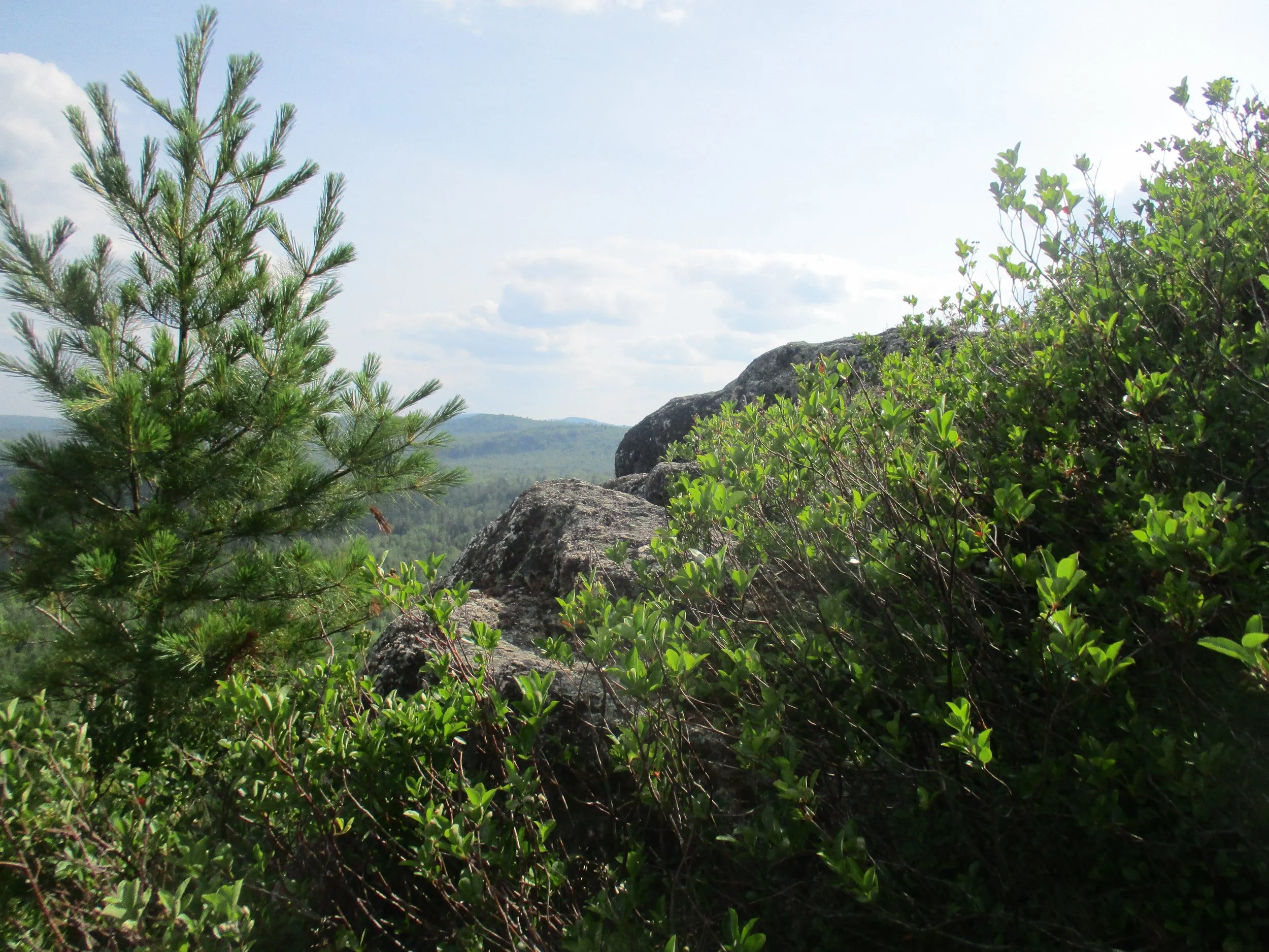 Eagle Bluff