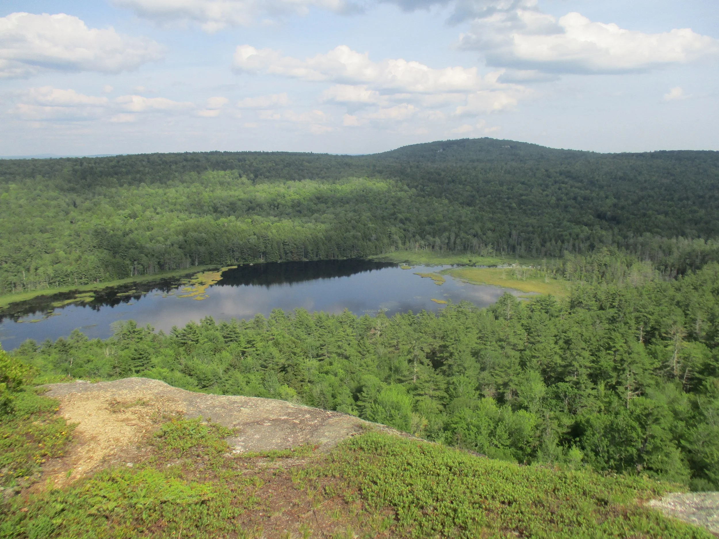 Cedar Swamp Pond
