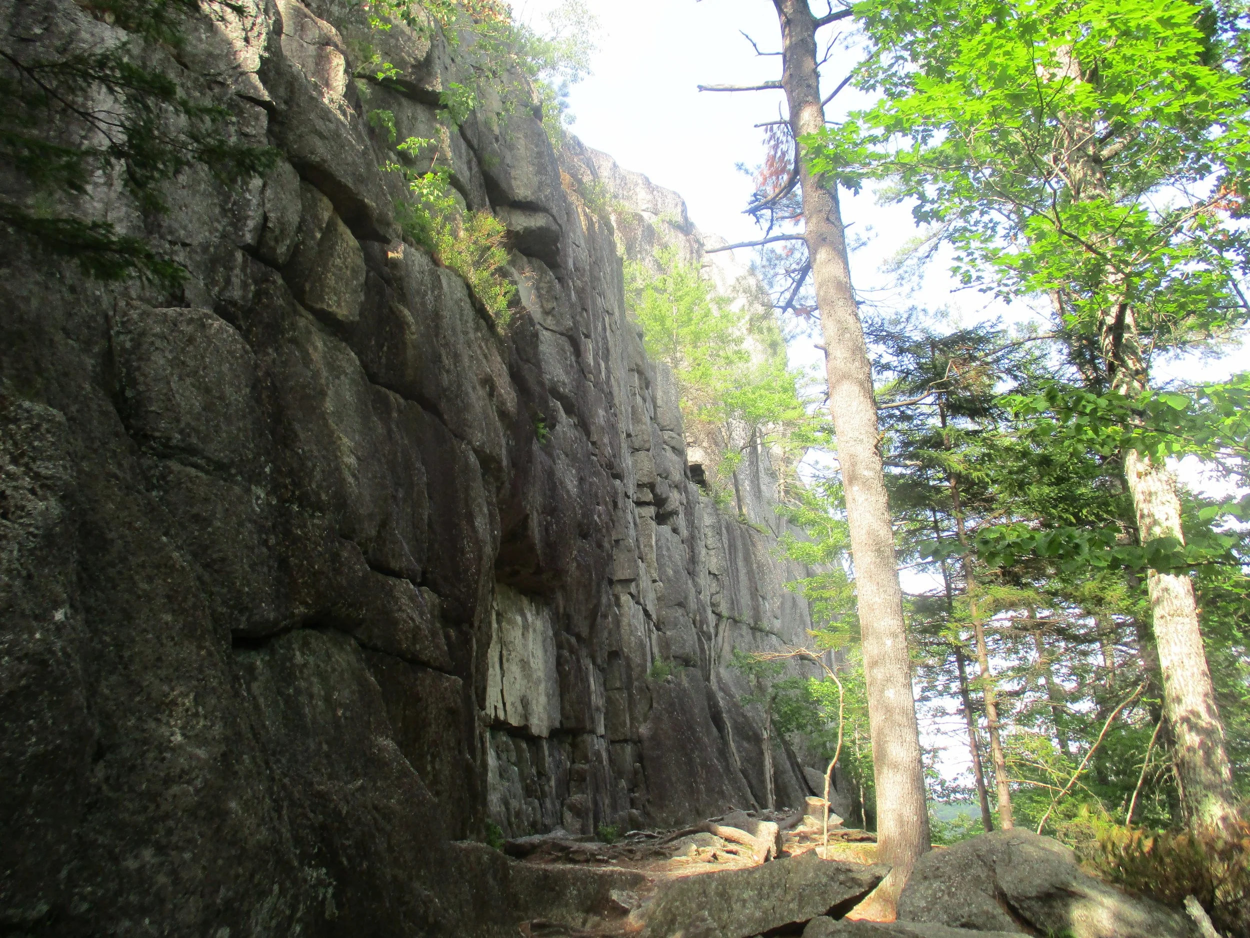 The Base of Eagle Bluff