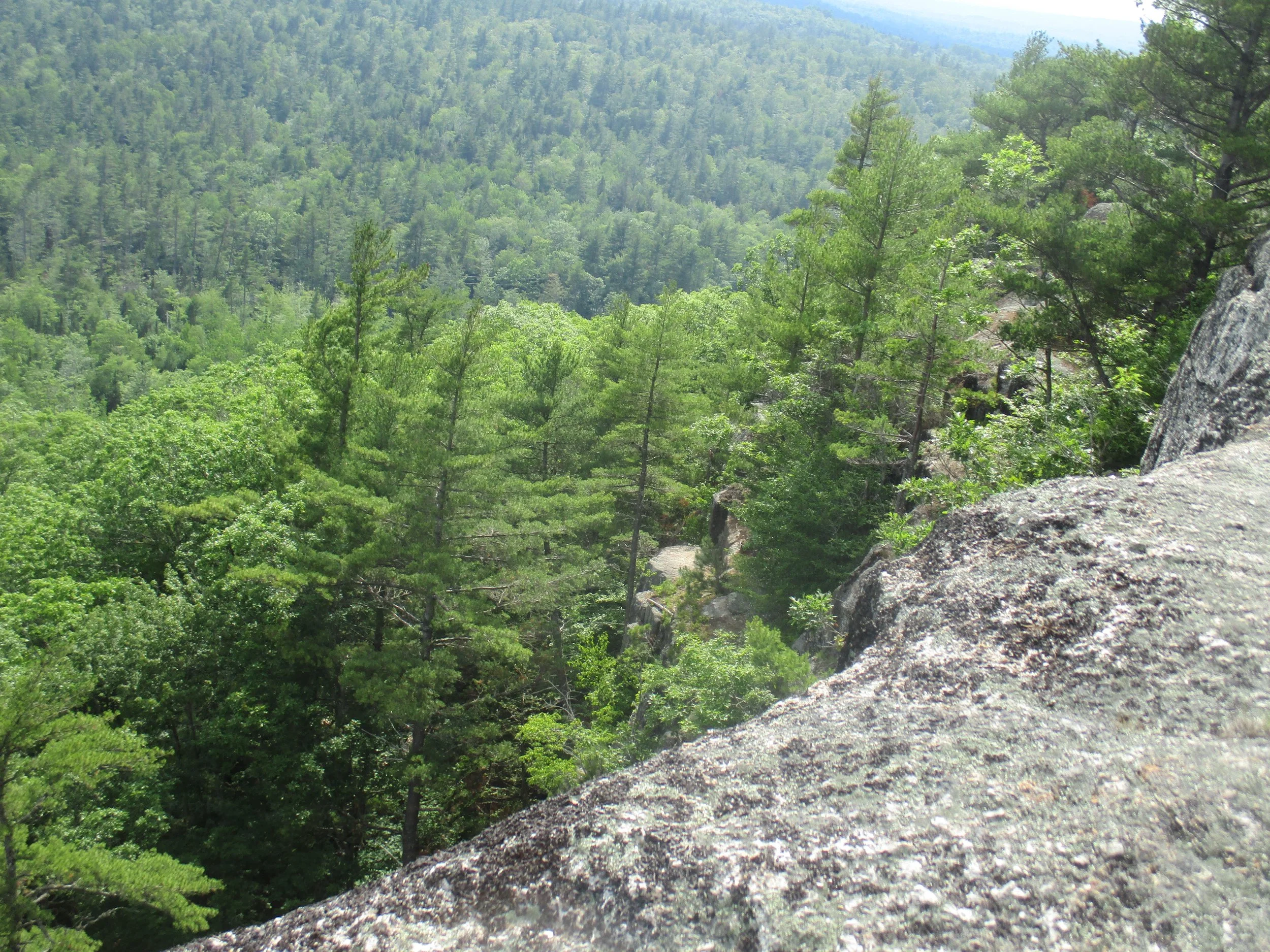 Cliffside from the Summit