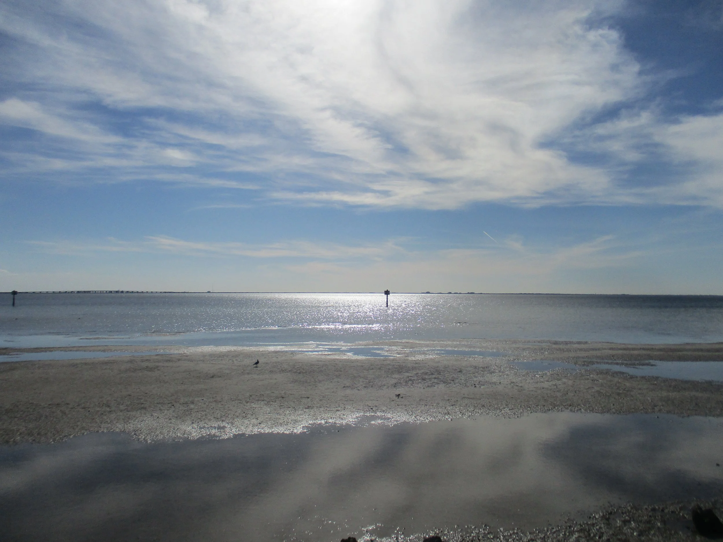 Ben T Davis Beach