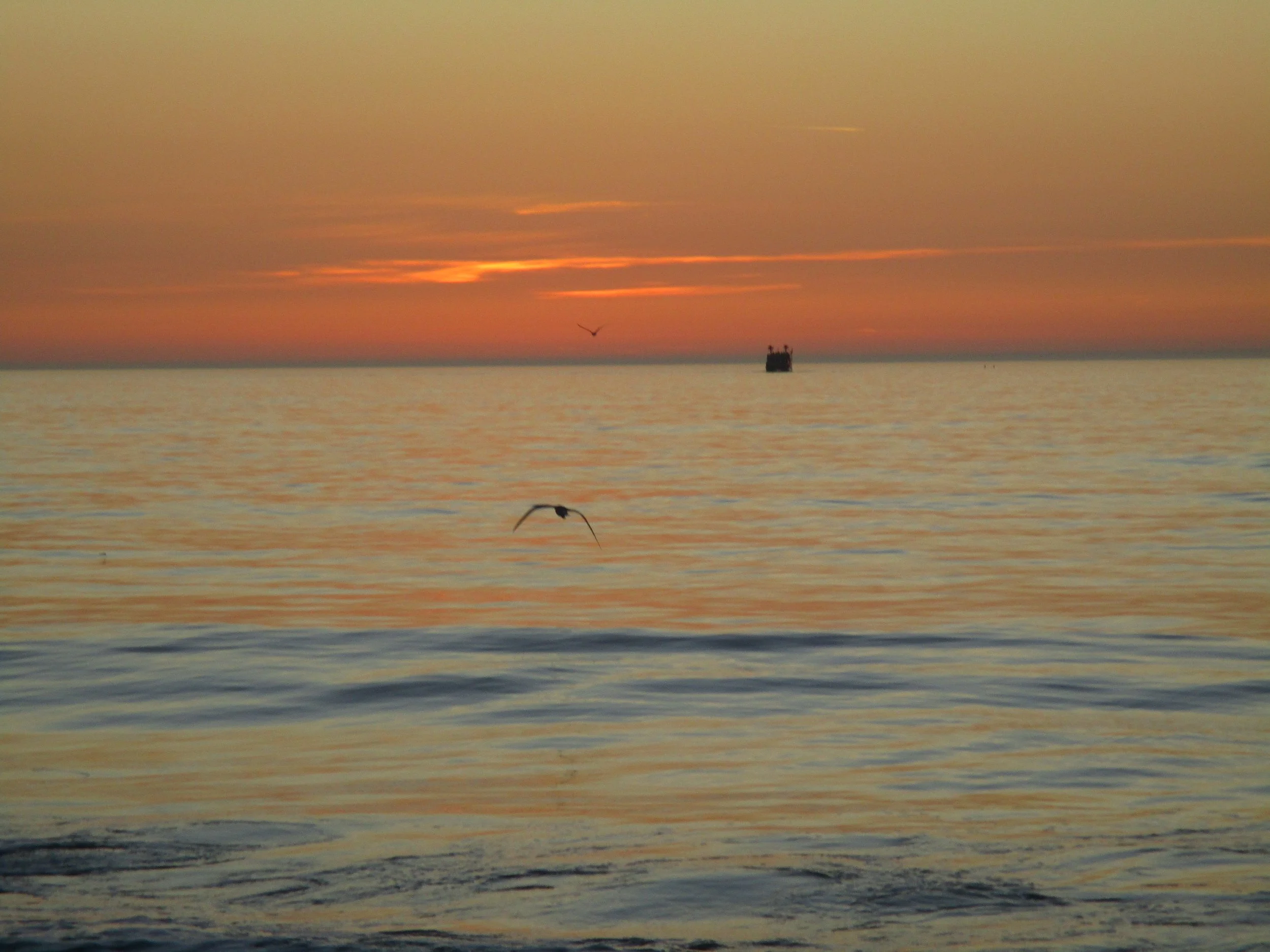 Clearwater Beach at Sunset