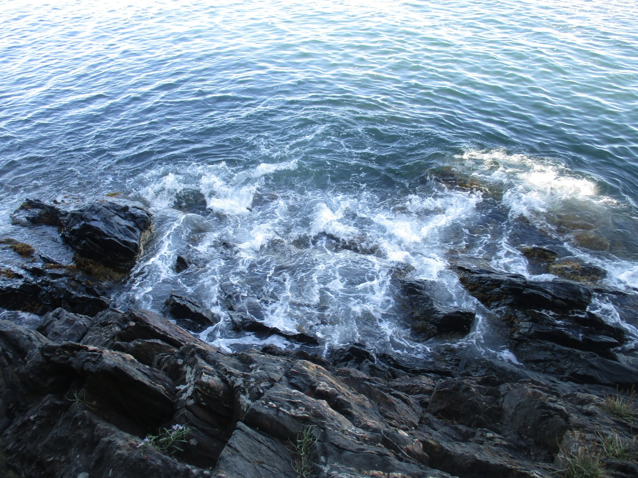 Camden Hills State Park, Maine
