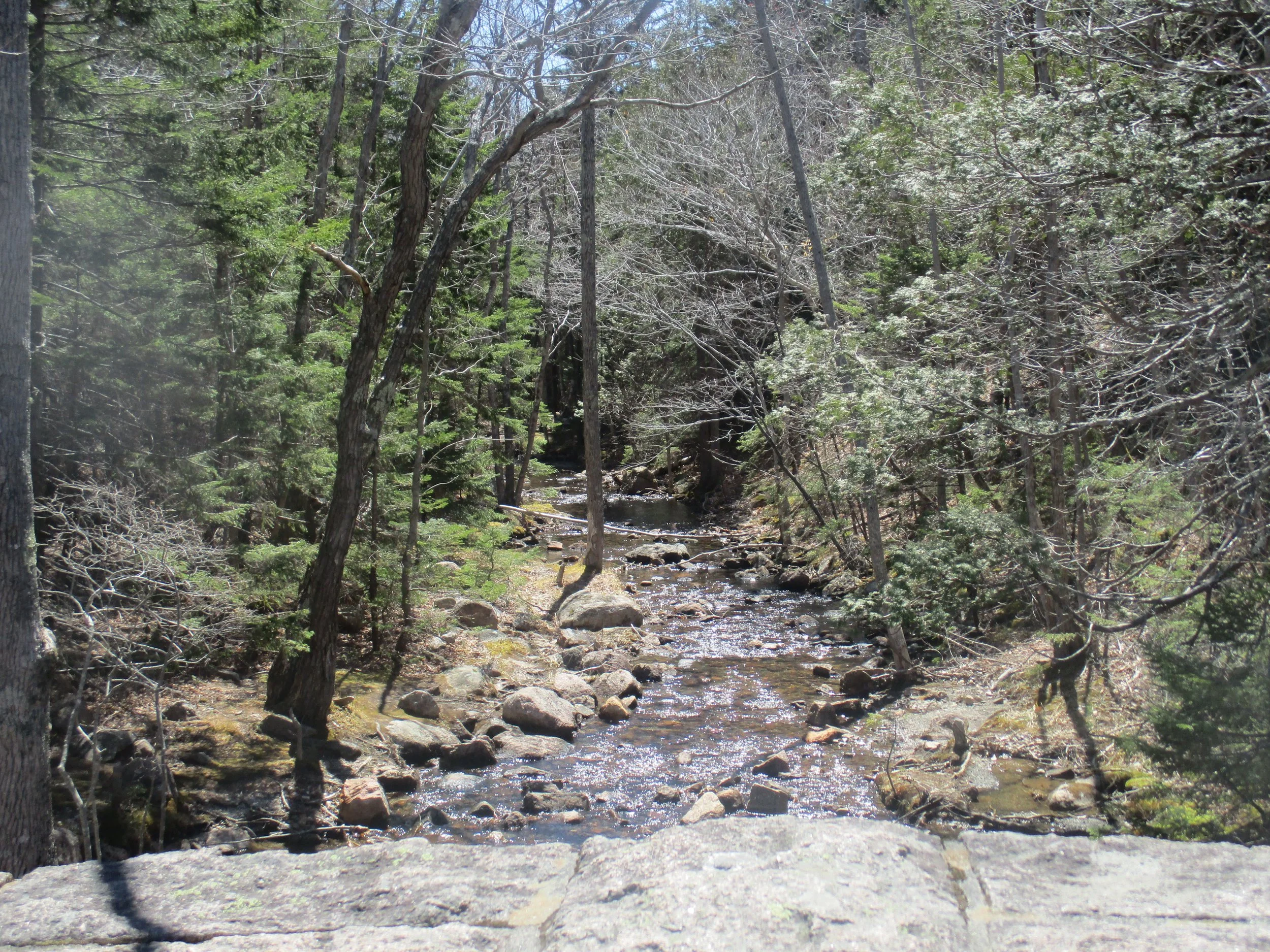 At Jordan Pond, Acadia