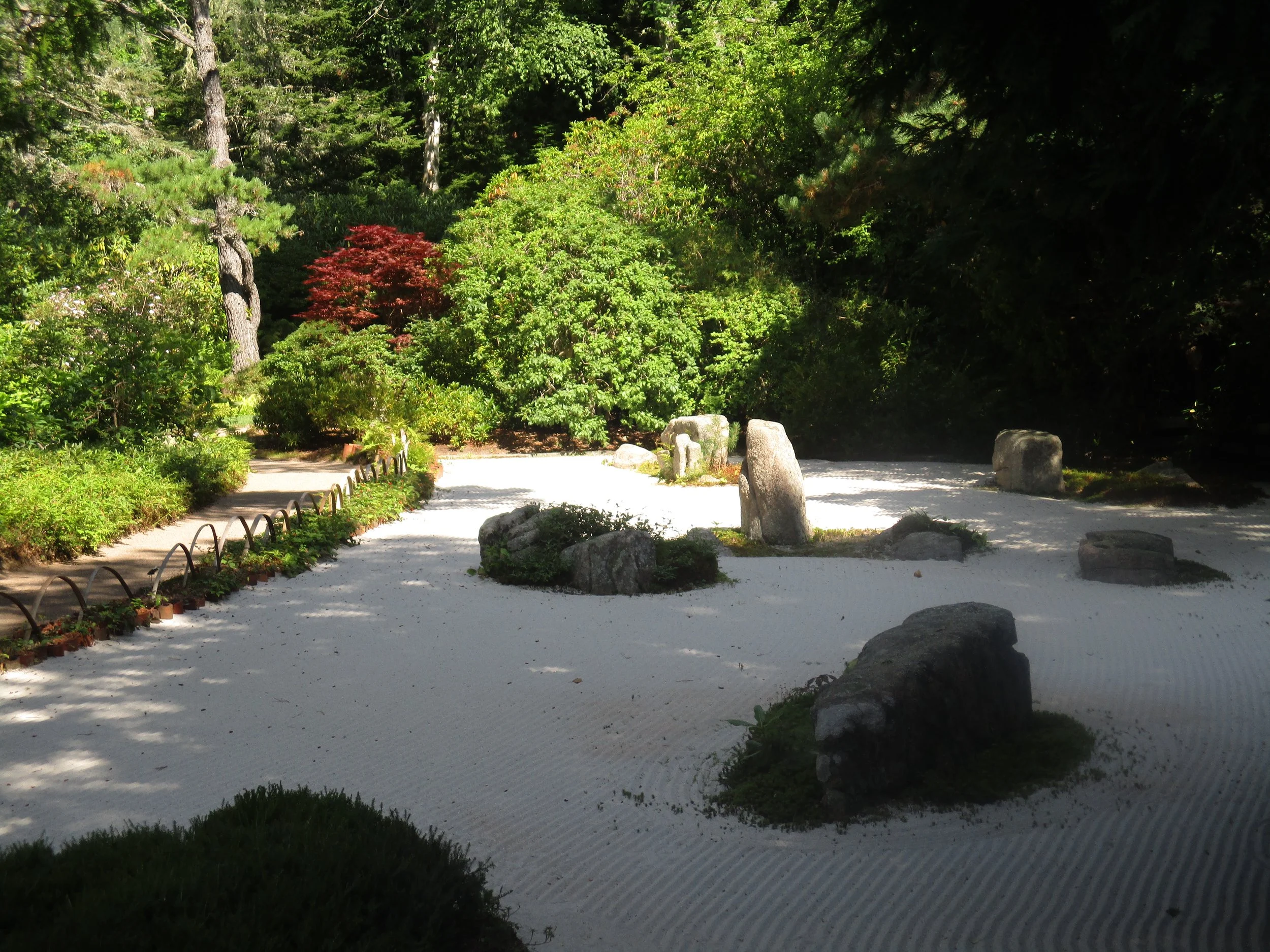 Sand Garden in Asticou Azalea Garden