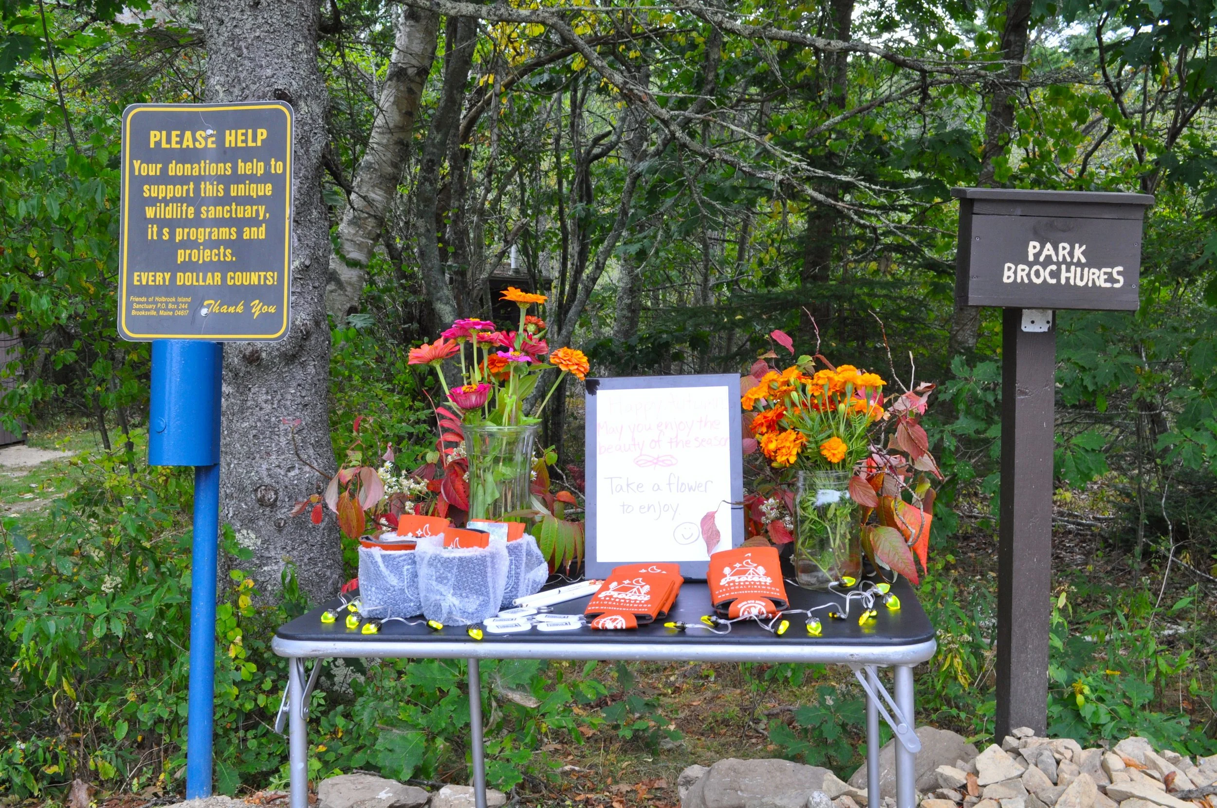 Holbrook Island Sanctuary