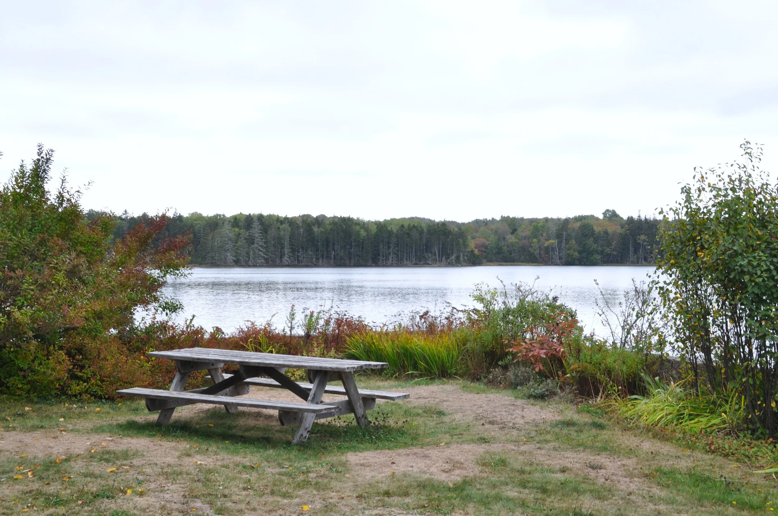 Veteran's Park, Deer Isle
