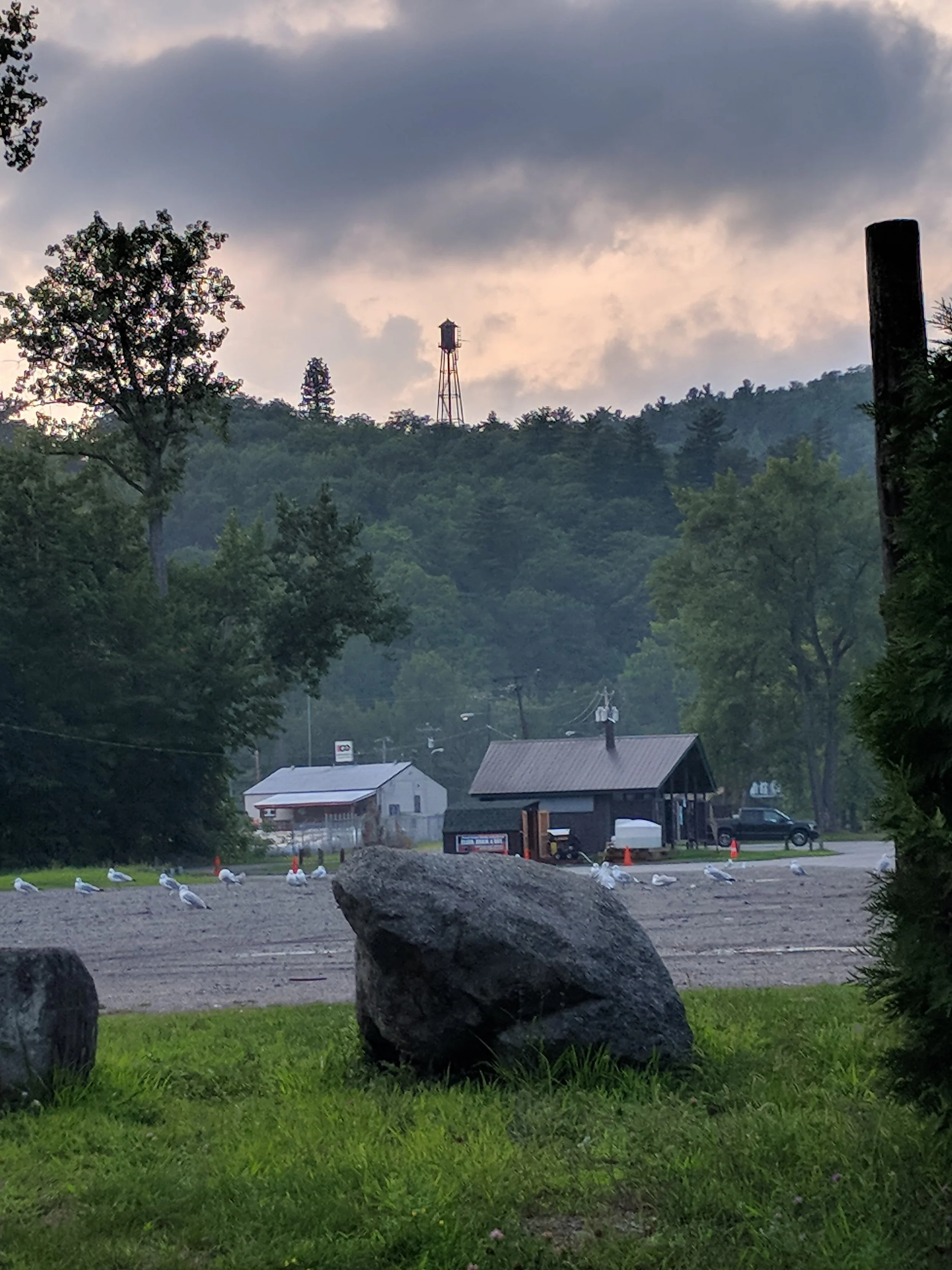 Misty dirt lot with seagulls, brown and white shacks, and a water tower on a forested hill in the background.
