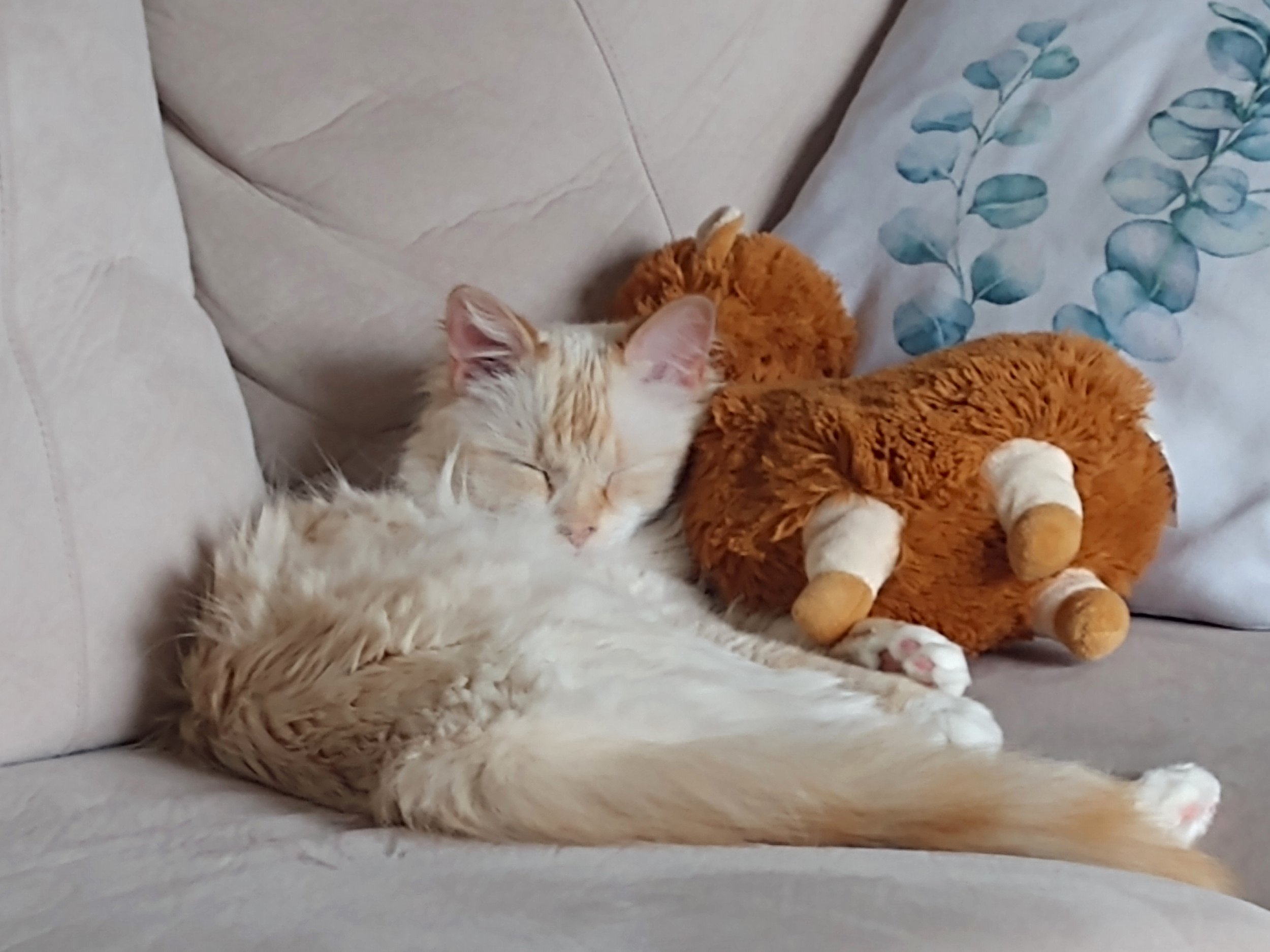 Sick Day