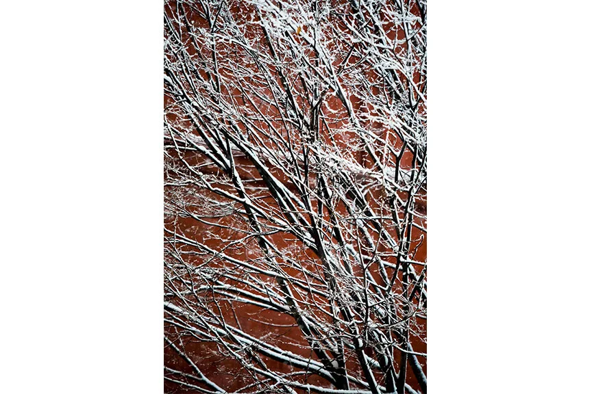 100210_030__© Thomas Donley_white2.jpg
