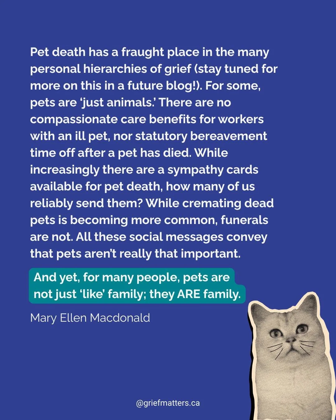 #Pets are family 💙
Read more about the #blog here: https://griefmatters.ca/blog/frank-is-missing-thinking-about-grief-through-the-experience-of-pet-loss
 #GriefMatters #griefmatters #blog #GriefBlog #blogpost #petloss