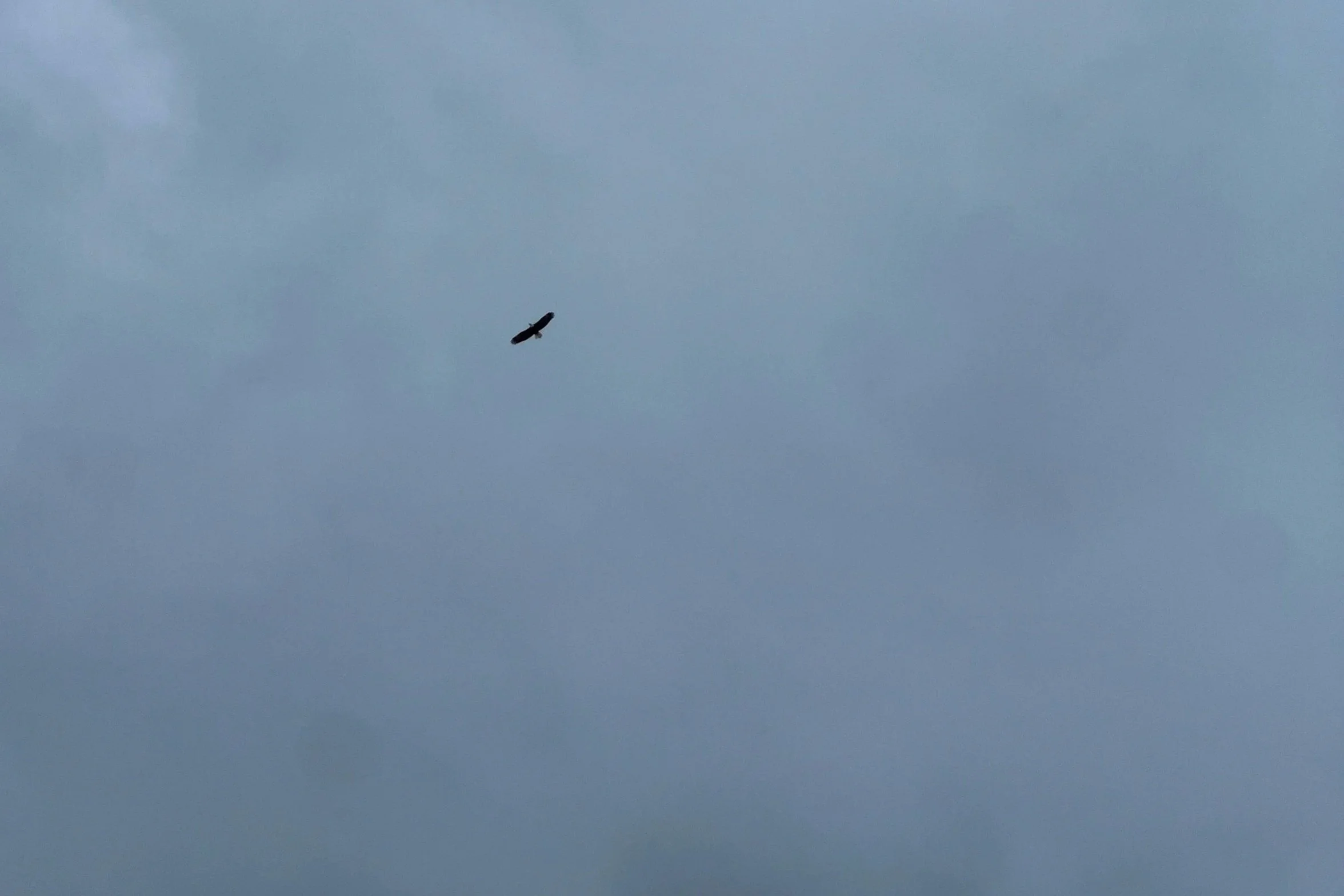 Losing a Friend, Gone but Still Here