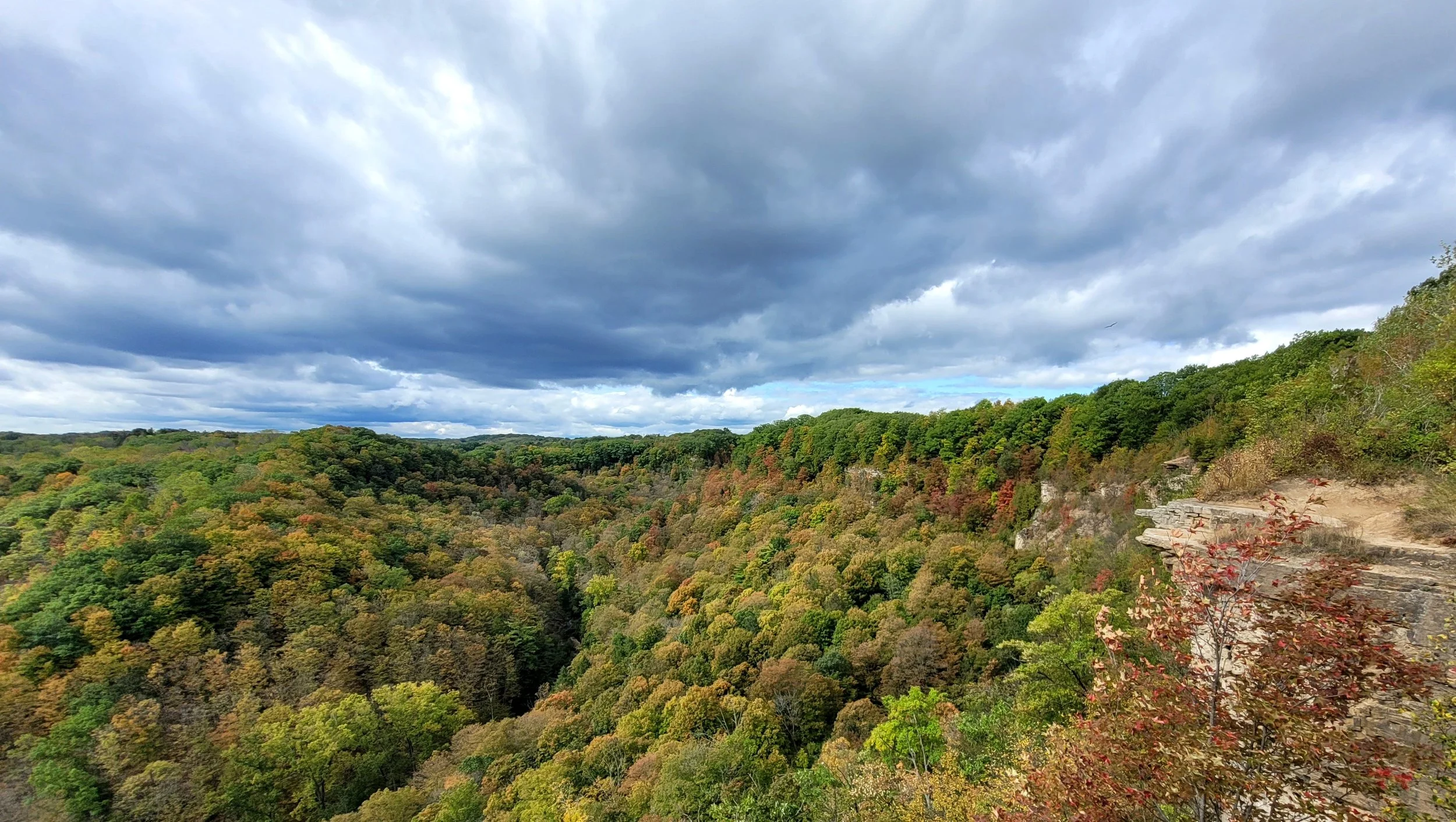 a landscape with green trees and gray clouds