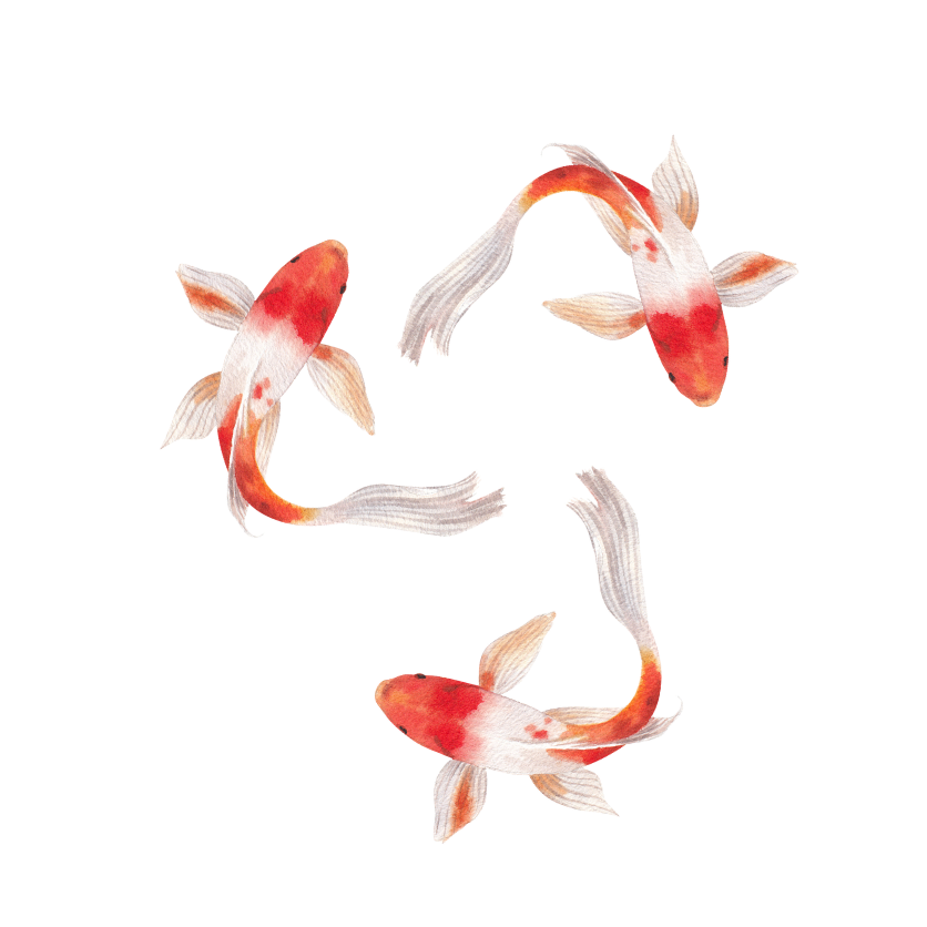 Grief Gatherings Grief Matters