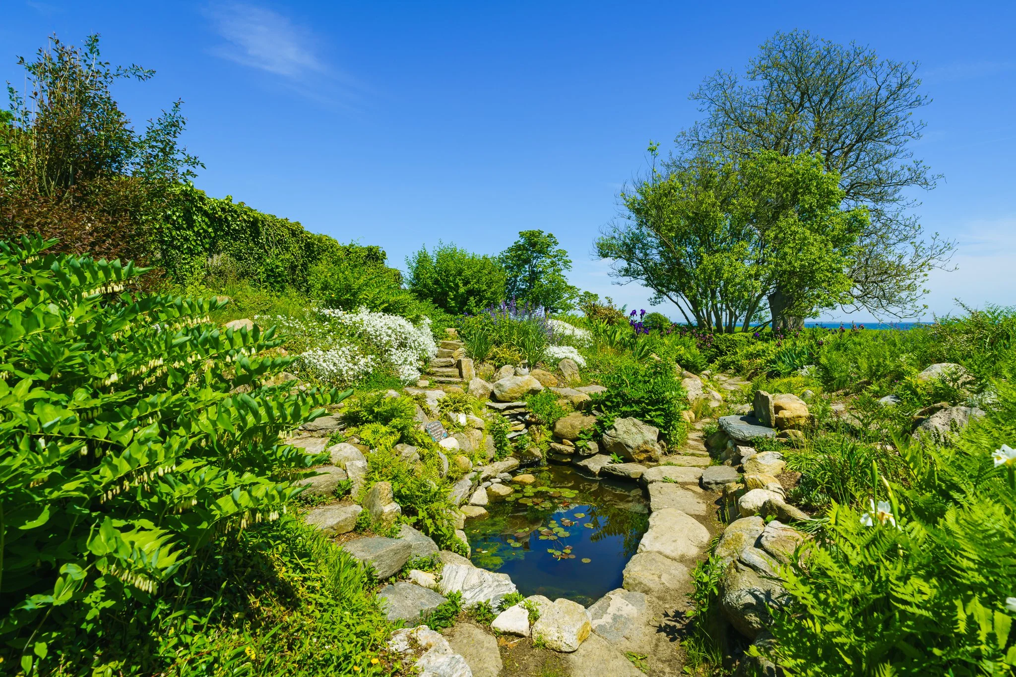 Stone path and pond fountain surrounded by ferns in the rock garden.