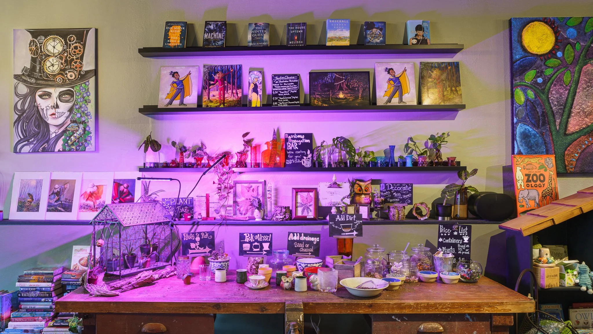 Plant and gardening shelves lit by purple grow lights.