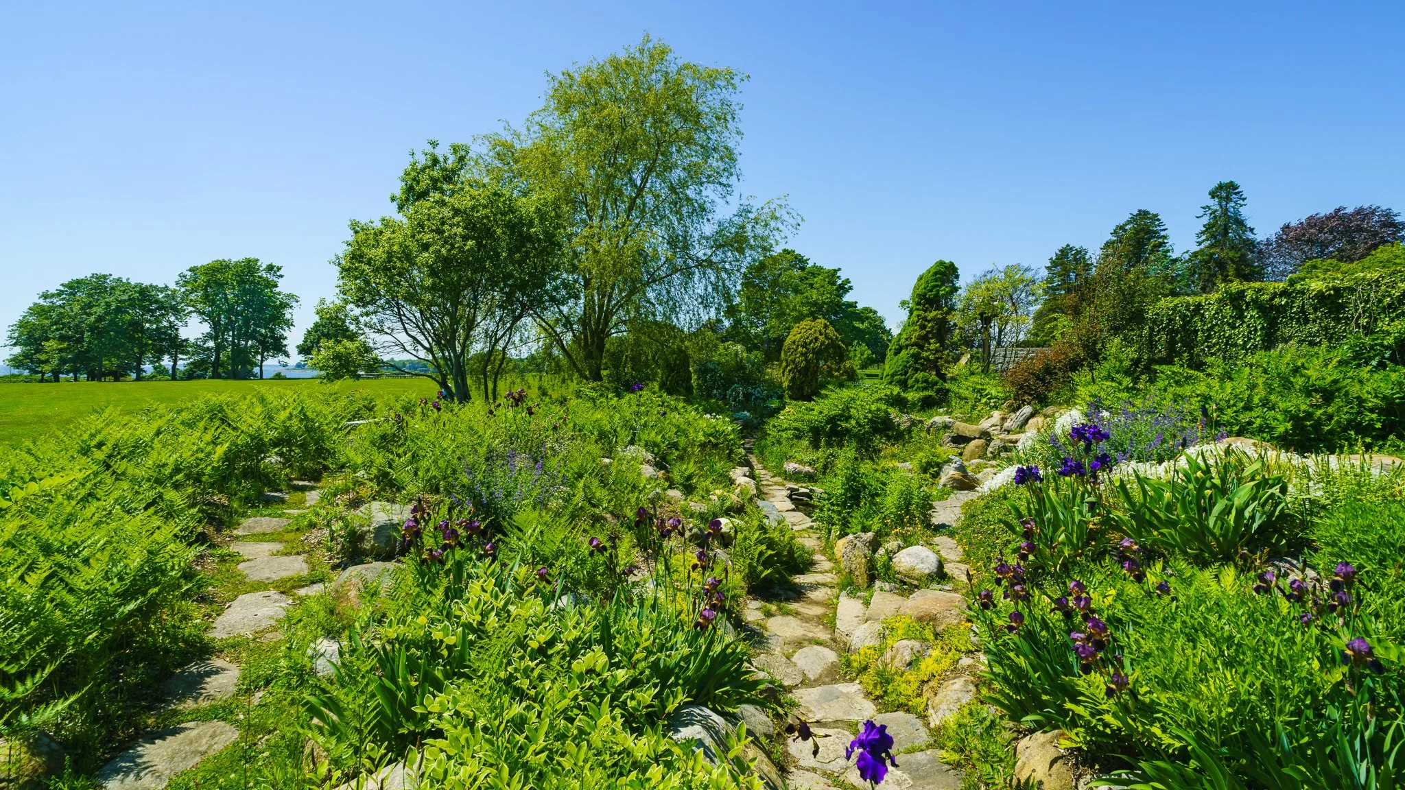 Stone path winding through the rock garden under a clear blue sky.