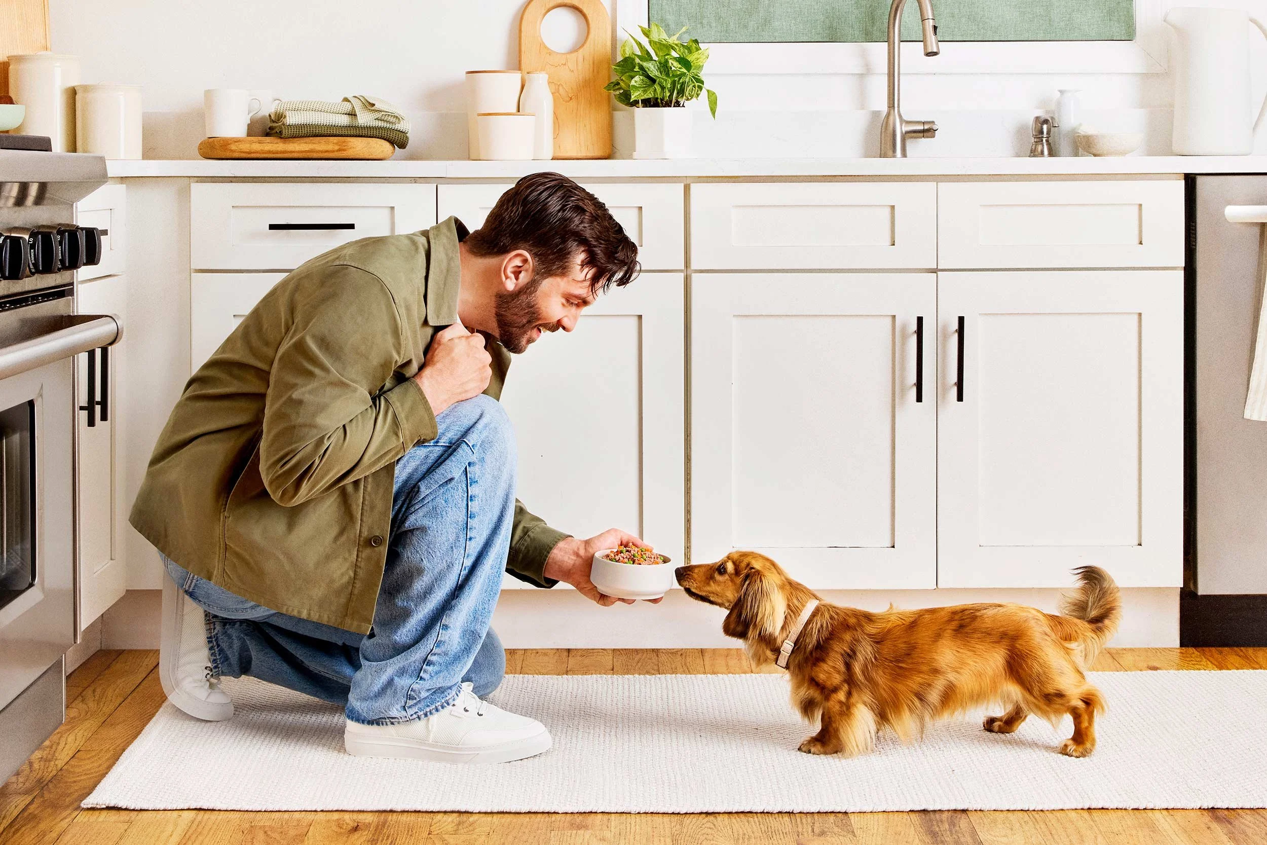 nyc-nj-food-commerical-lifestyle-dog-photographer-freshpet32.jpg