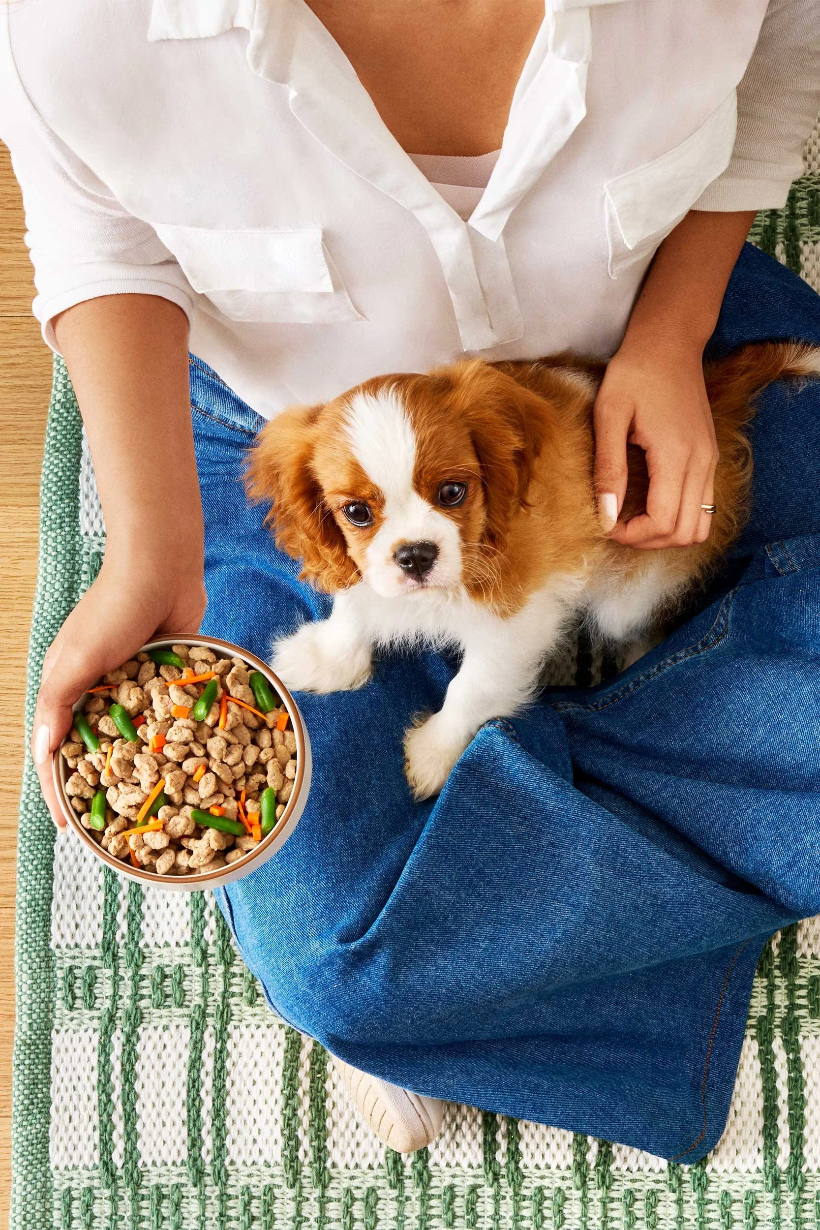 Freshpet