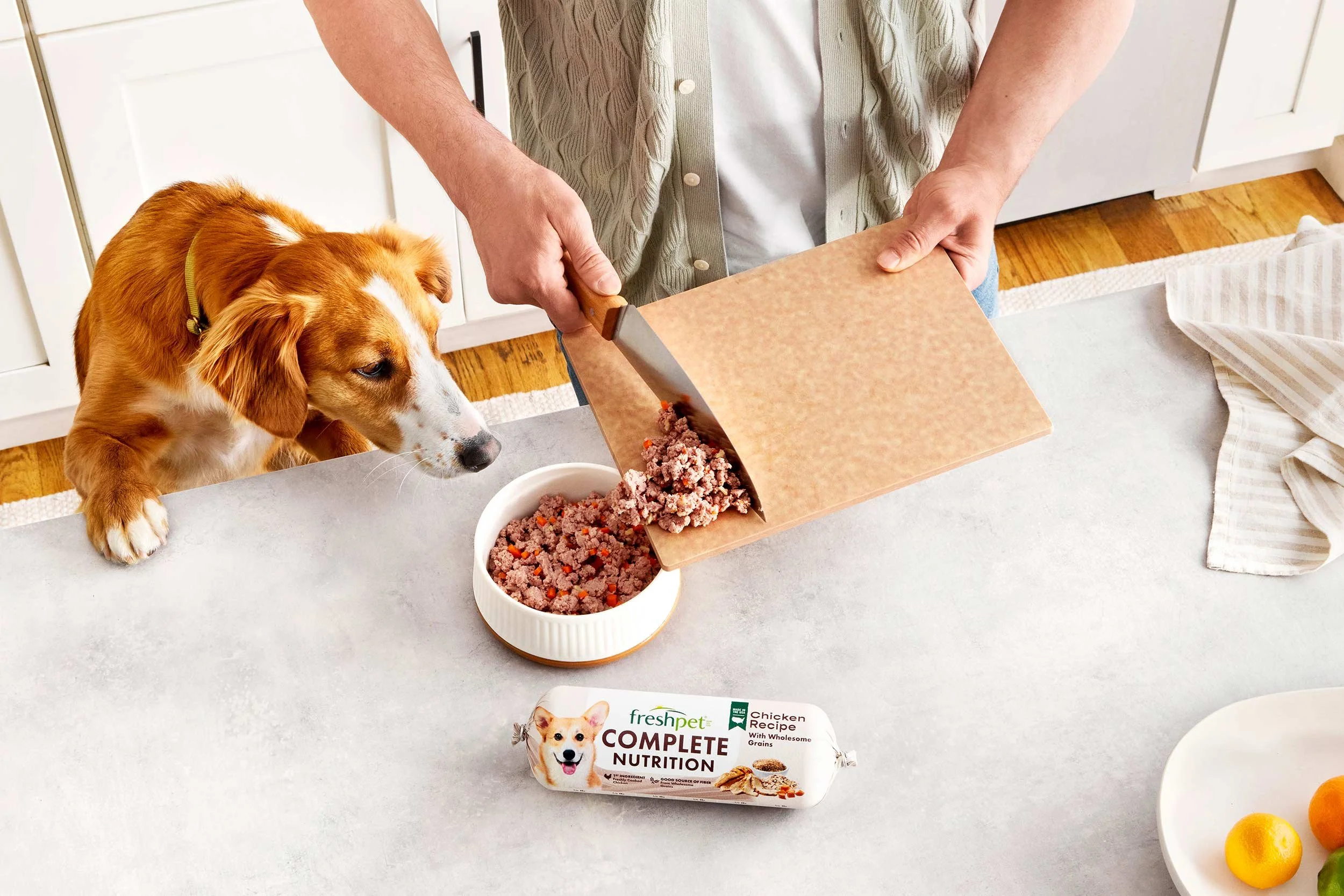 nyc-nj-food-commerical-lifestyle-dog-photographer-freshpet30.jpg