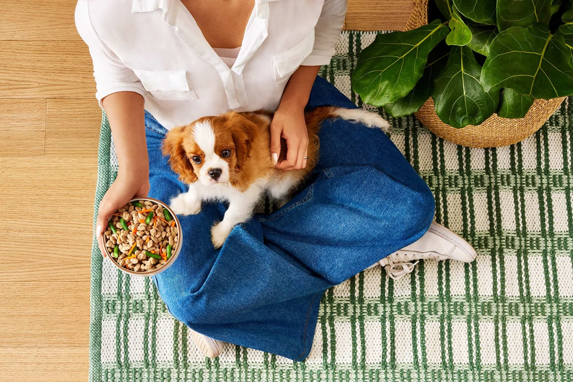 nyc-nj-food-commerical-lifestyle-dog-photographer-freshpet36.jpg