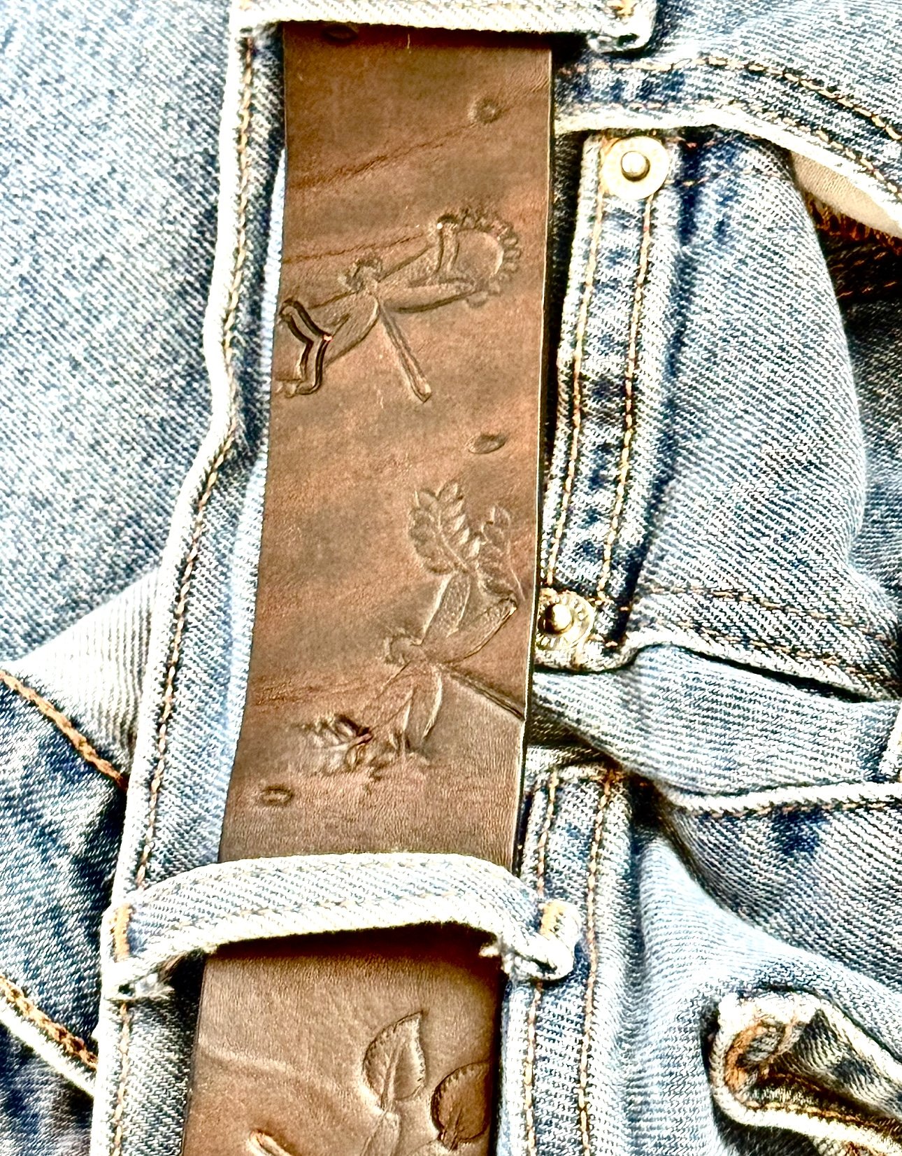 Brown1.5dragflydenim.jpg