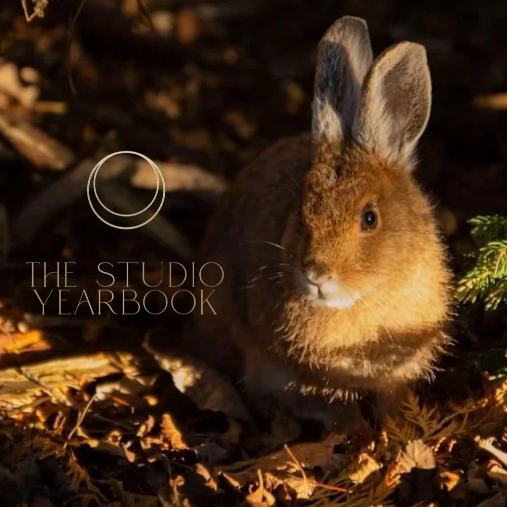 TheStudioYearbook-Fall2026.jpg