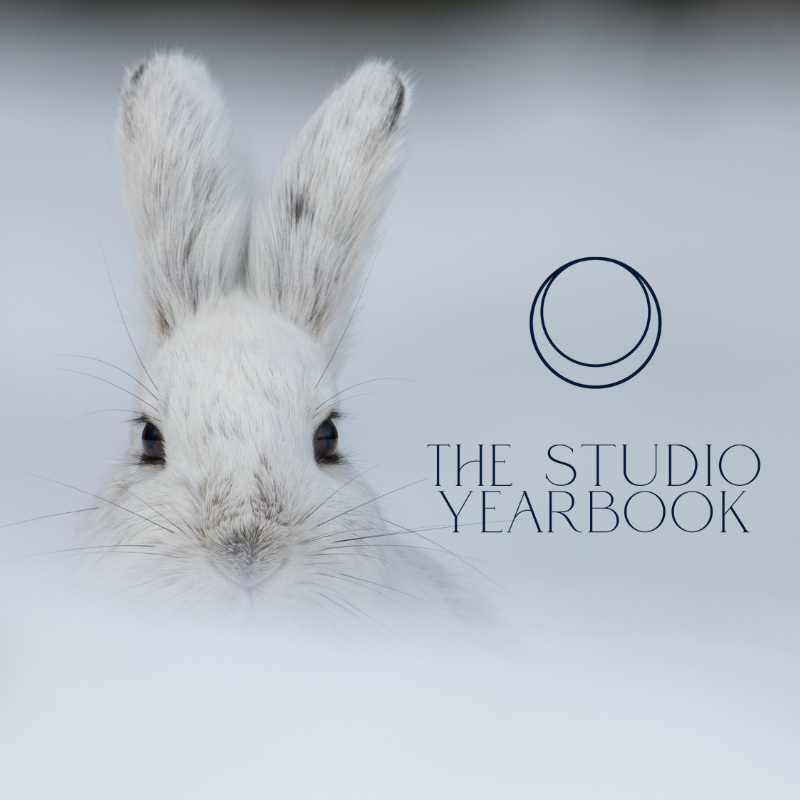 The Studio Yearbook (Winter 2026)